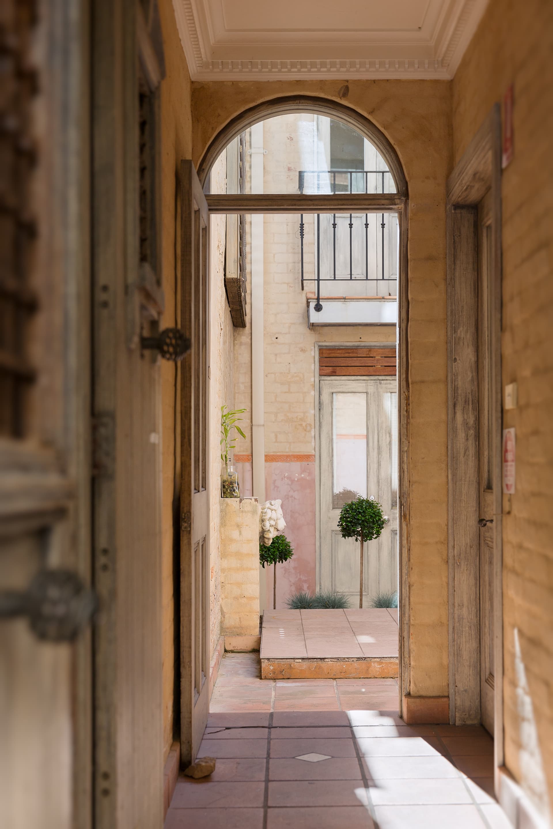 3 Little Bloomfield Street, Surry Hills NSW