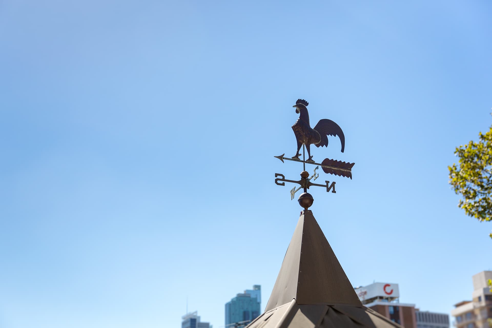 3 Little Bloomfield Street, Surry Hills NSW