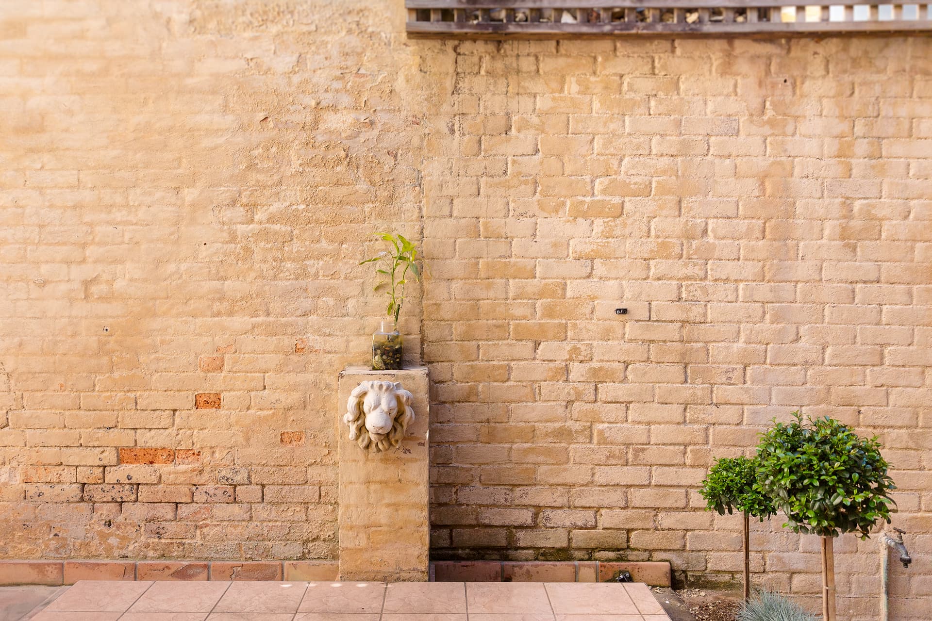 3 Little Bloomfield Street, Surry Hills NSW