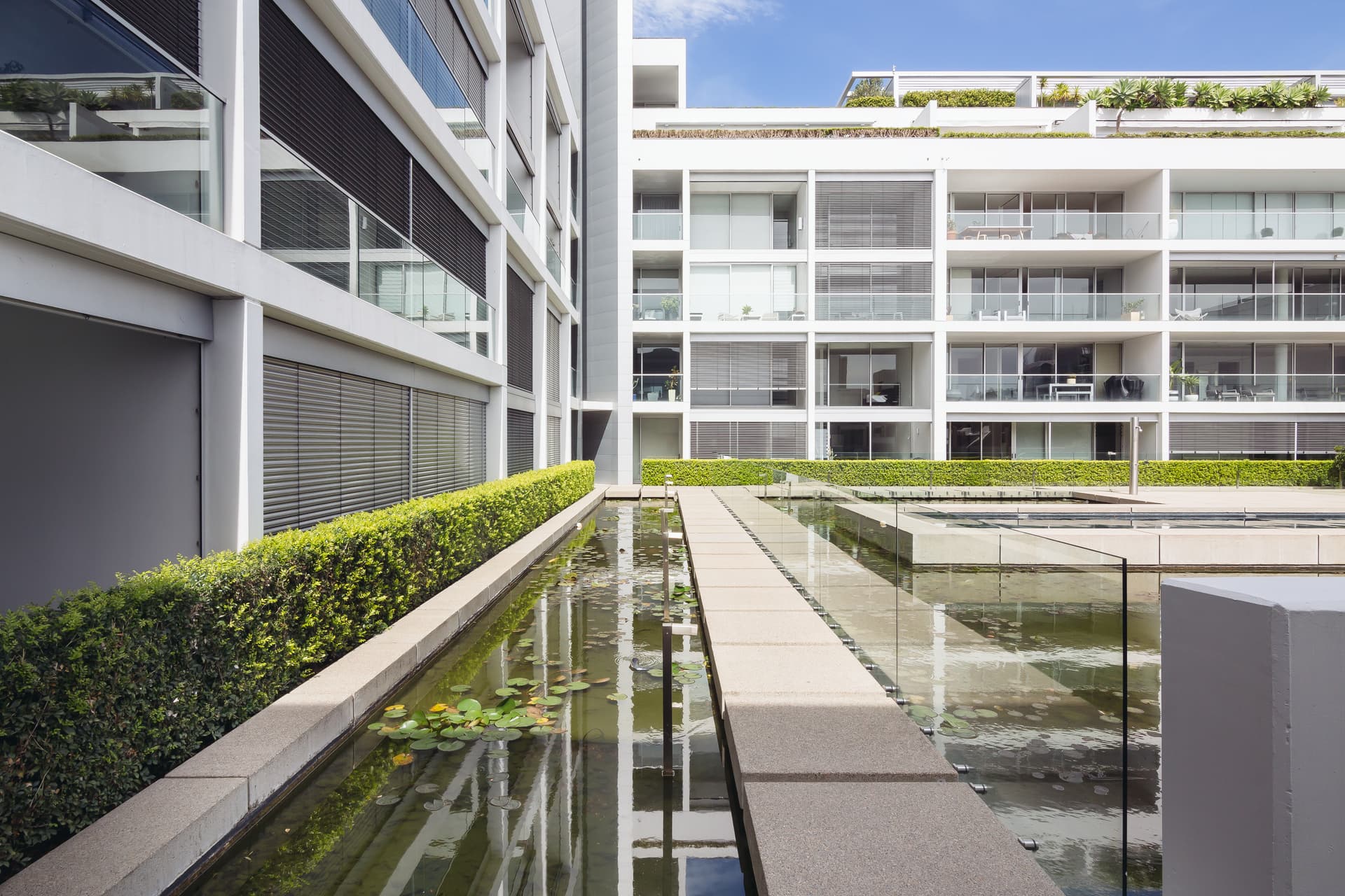 204/50 Burton Street, Darlinghurst NSW